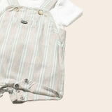 Conjunto rayas verdes