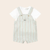 Conjunto rayas verdes