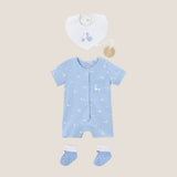 Conjunto patos