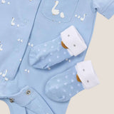 Conjunto patos