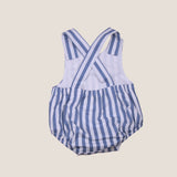 Ranita rayas azulonas